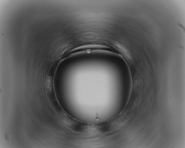 X0000096460121200801311521