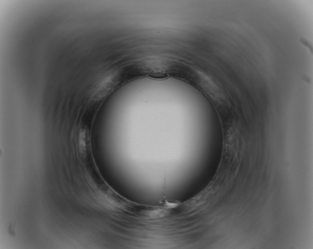 X0000096460122200801311520