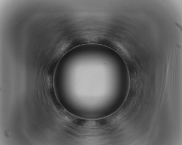 X0000096460123200801311520