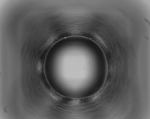 X0000096460124200801311520
