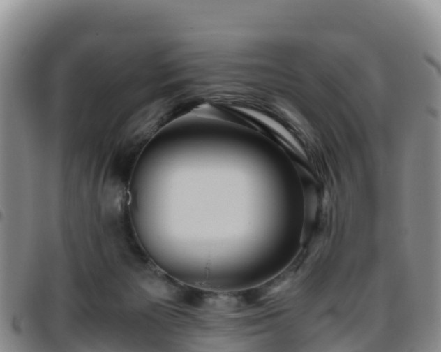 X0000096460125200801311520