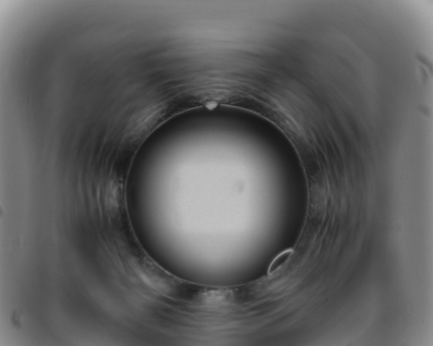 X0000096460126200801311520