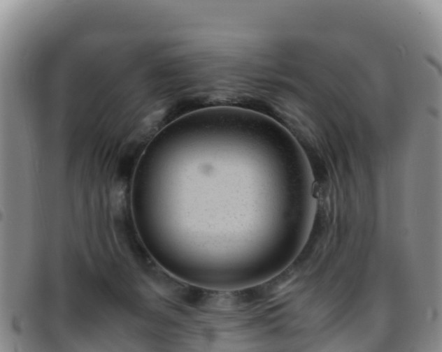X0000096460127200801311520