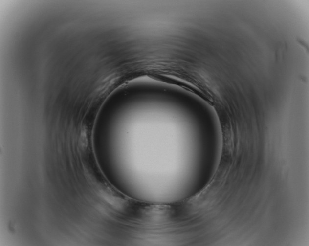X0000096460128200801311520