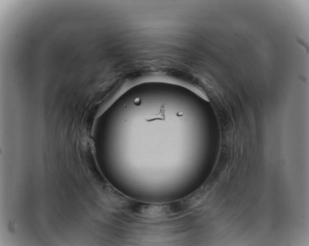 X0000096460129200801311520