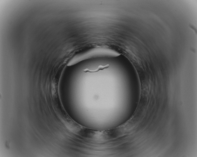 X0000096460130200801311520