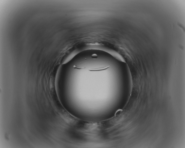 X0000096460131200801311520