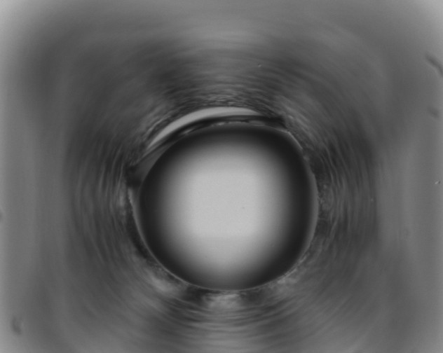 X0000096460132200801311520