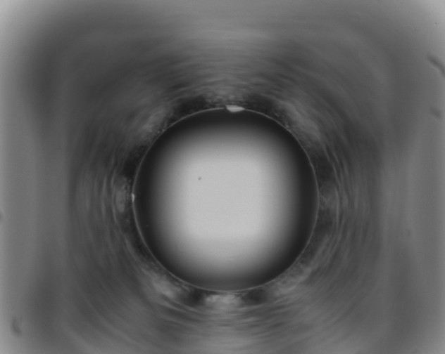 X0000096460133200801311520