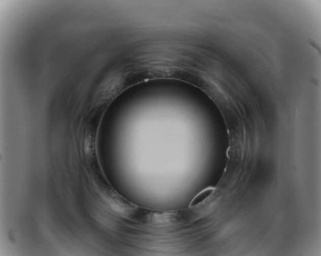 X0000096460134200801311520