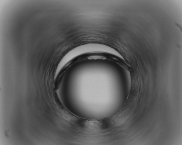 X0000096460137200801311520