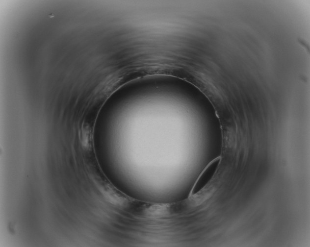 X0000096460138200801311520