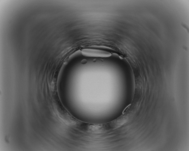 X0000096460139200801311520