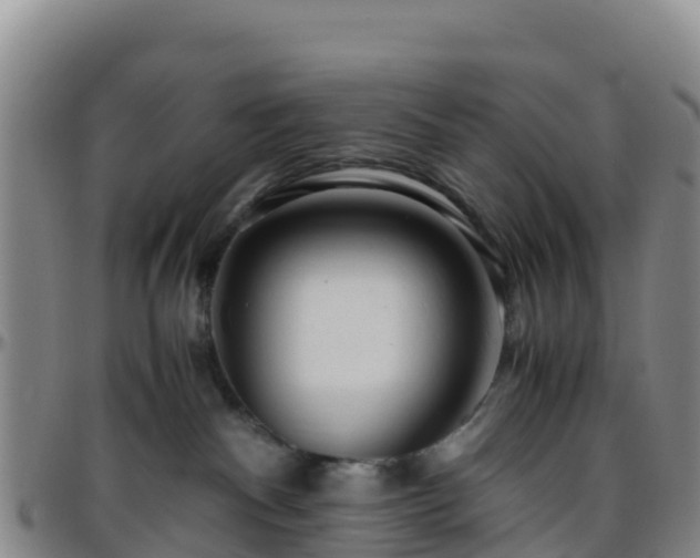 X0000096460140200801311520