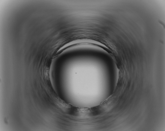 X0000096460141200801311520