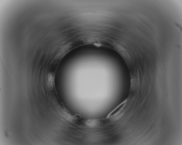 X0000096460142200801311520