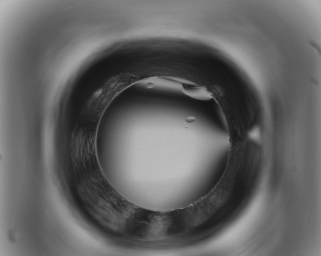 X0000096460143200801311520
