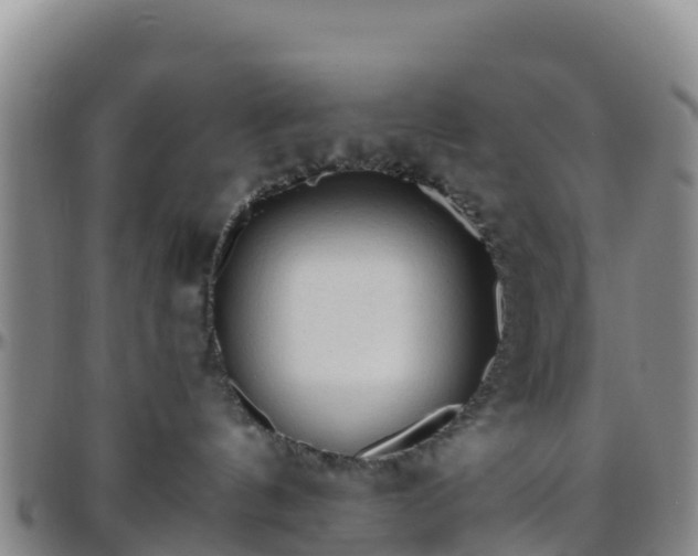X0000096460144200801311520