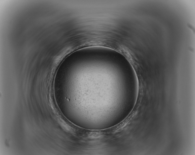 X0000096460145200801311519