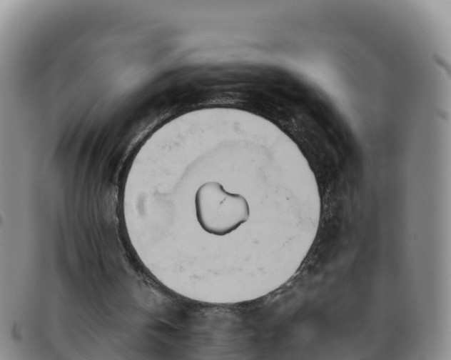 X0000096460146200801311519