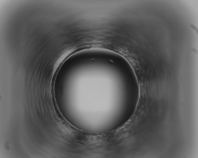 X0000096460147200801311519