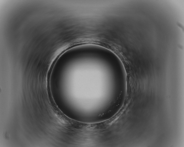 X0000096460148200801311519