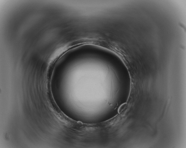 X0000096460149200801311519