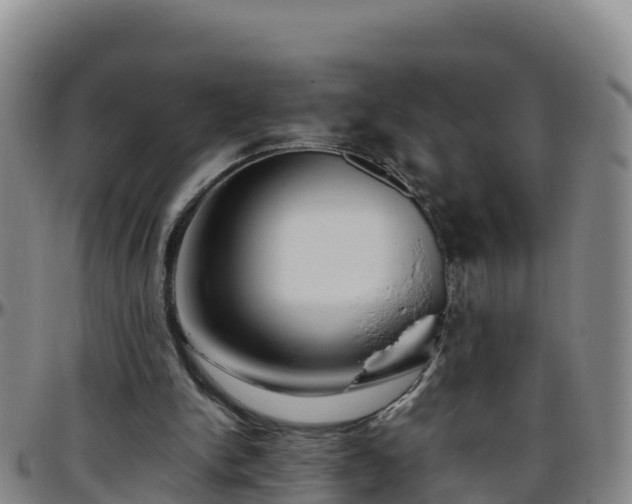 X0000096460150200801311519