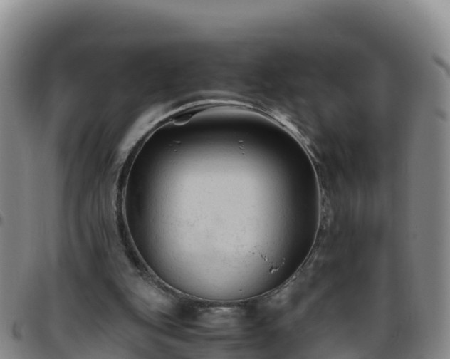 X0000096460151200801311519