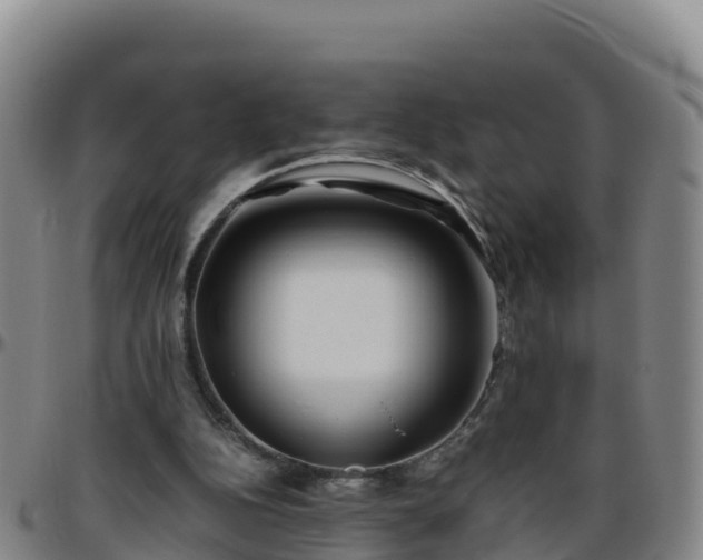 X0000096460152200801311519