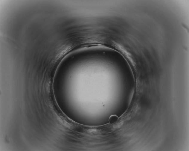 X0000096460153200801311519