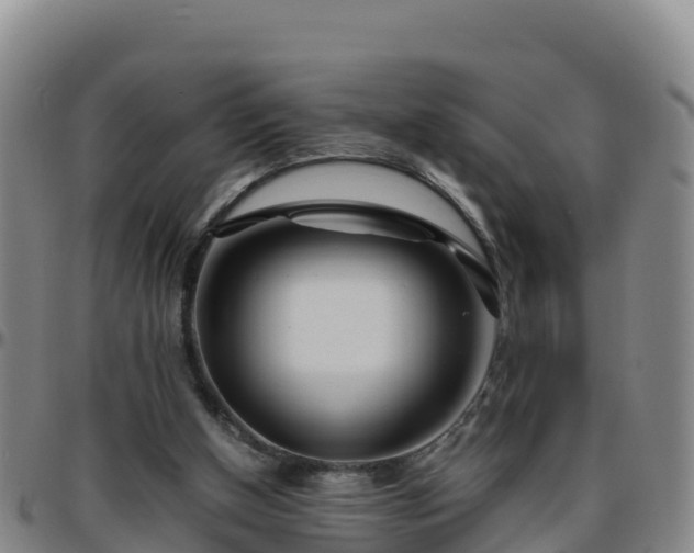 X0000096460154200801311519