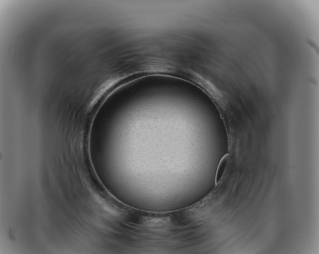 X0000096460155200801311519