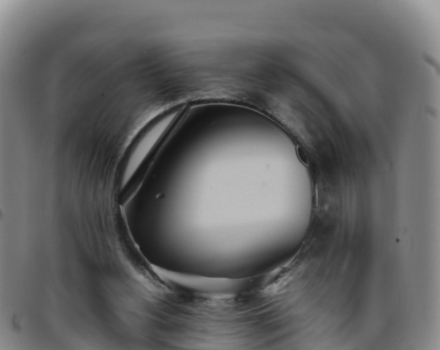 X0000096460156200801311520