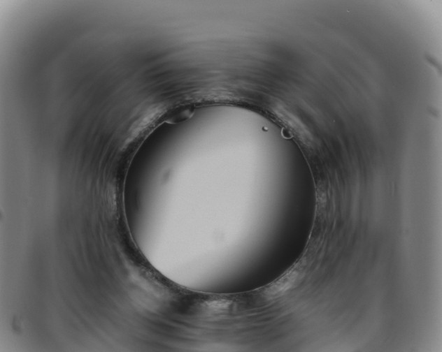 X0000096460158200801311520