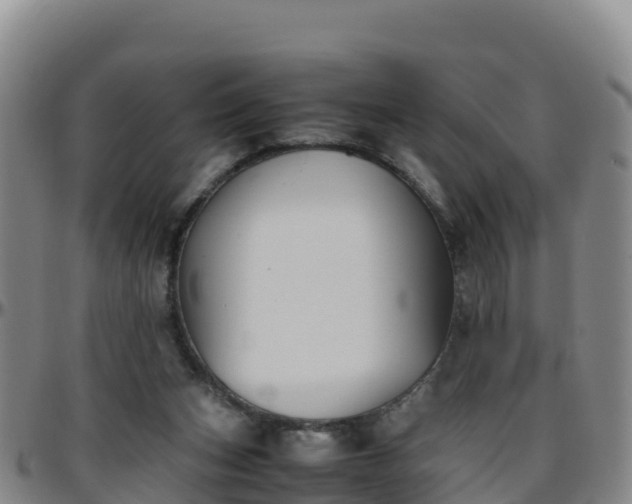 X0000096460159200801311520