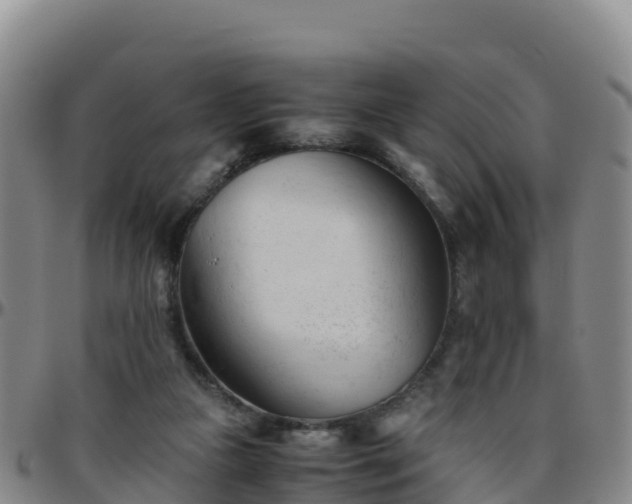 X0000096460161200801311520