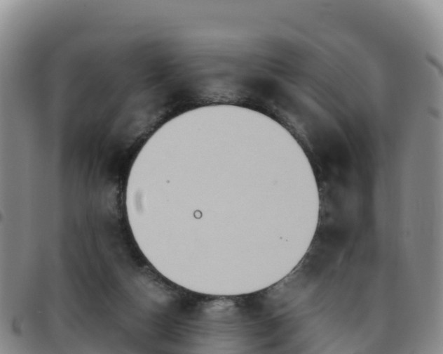 X0000096460162200801311520