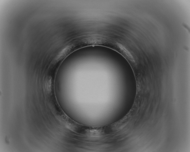 X0000096460163200801311520