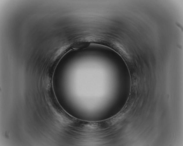 X0000096460164200801311520