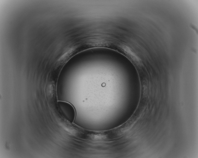 X0000096460165200801311520