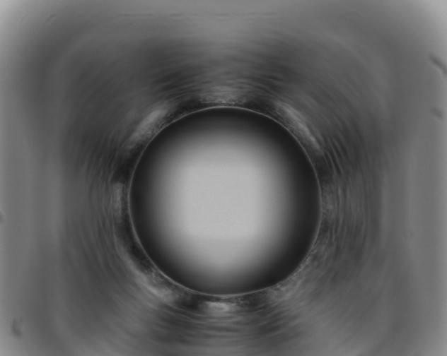 X0000096460167200801311520