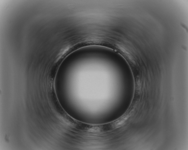 X0000096460168200801311520