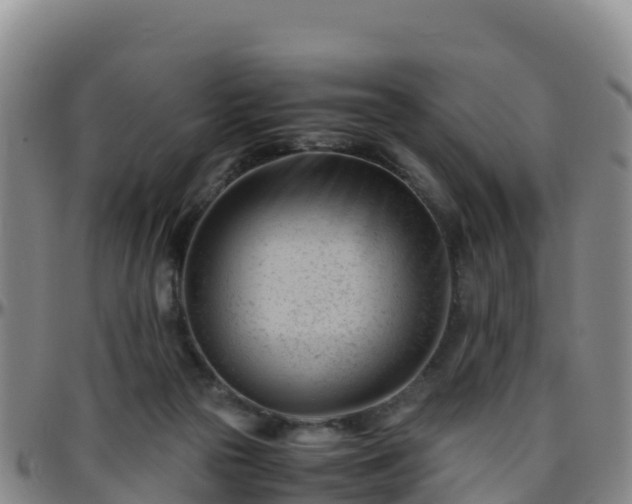 X0000096460169200801311520