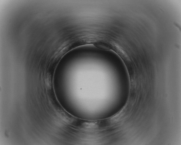 X0000096460170200801311520