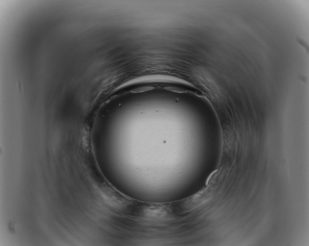 X0000096460175200801311520