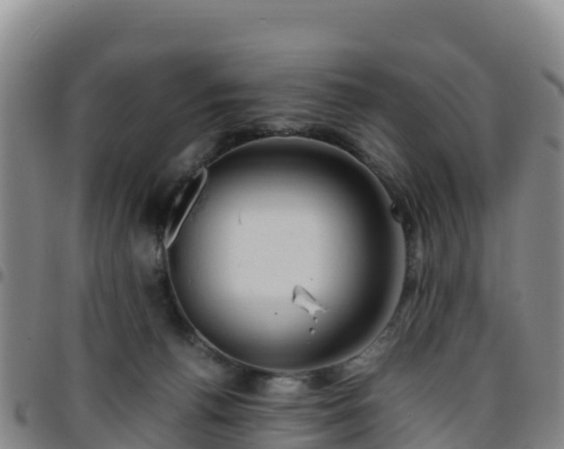 X0000096460176200801311520
