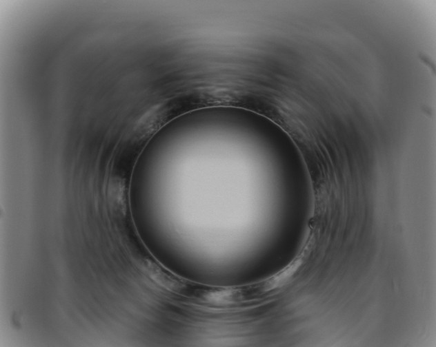 X0000096460178200801311520