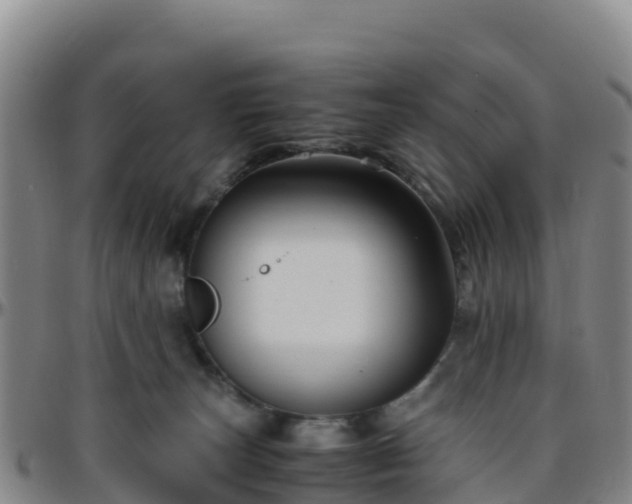 X0000096460179200801311520