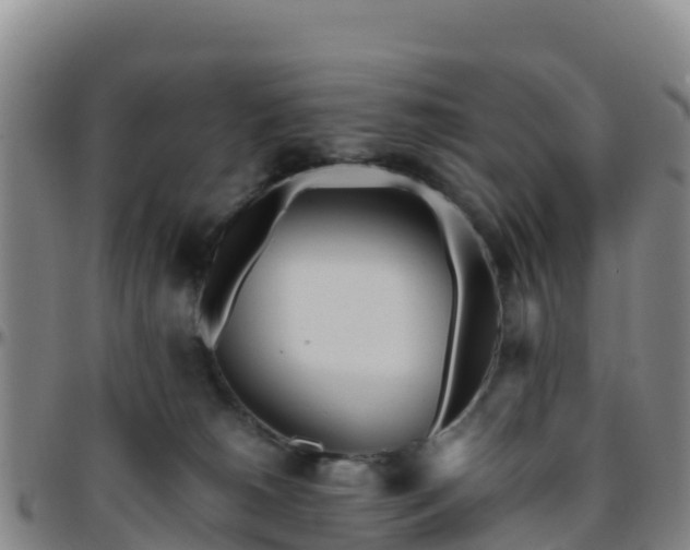 X0000096460180200801311520